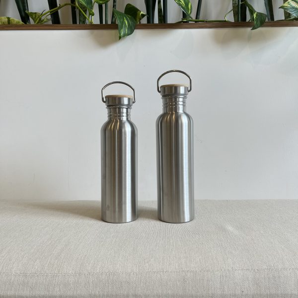 Stainless Steel Water Bottle